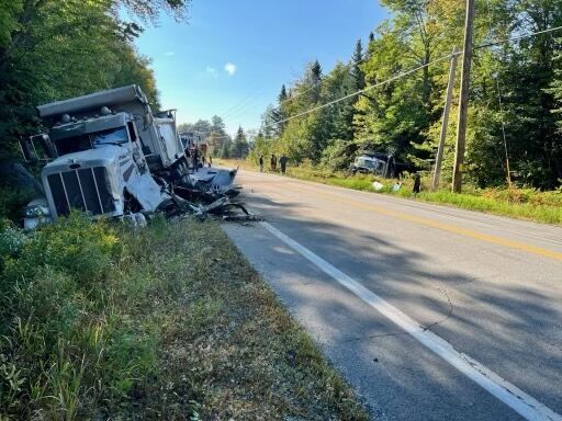 Milan man critical after collision with moose and dump truck